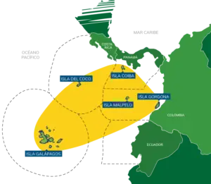 Eastern Pacific Corridor - The Shark Triangle