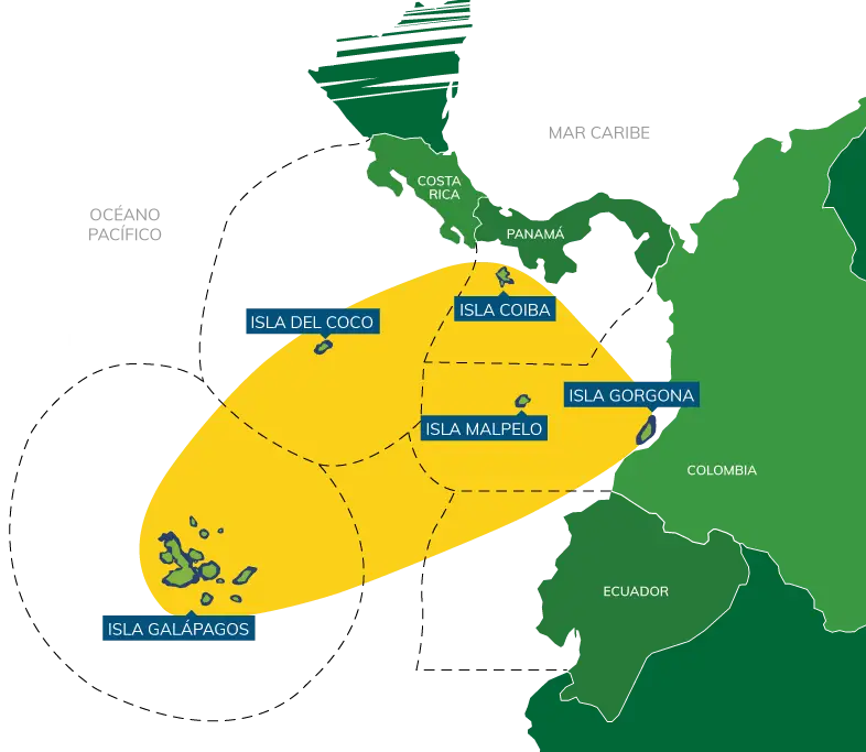 Eastern Pacific Corridor - The Shark Triangle