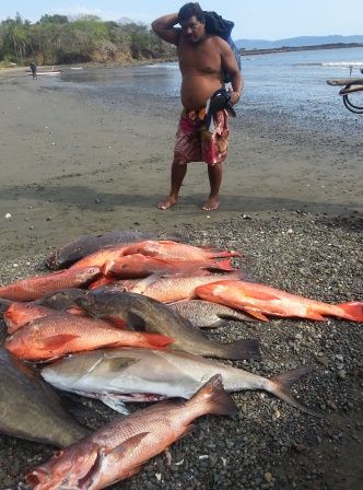 daily fresh catch brought to Santa Catalina beach bylocal fishermen